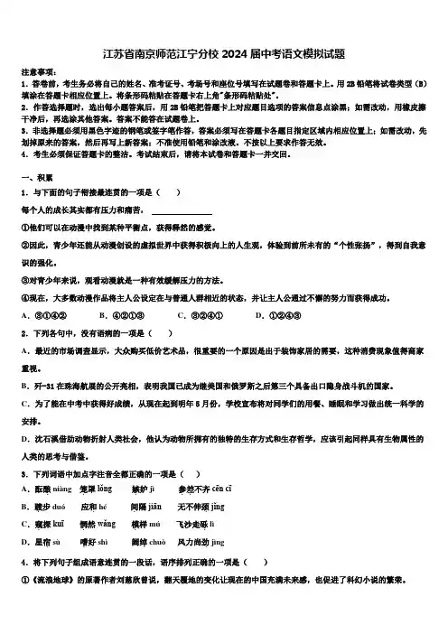 江苏省南京师范江宁分校2024届中考语文模拟试题含解析