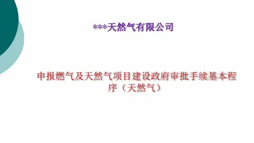 申报燃气及天然气项目建设政府审批手续基本程序
