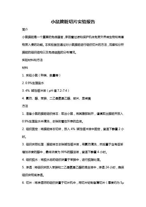 小鼠脾脏切片实验报告