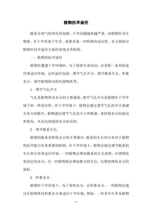 植物抗旱途径