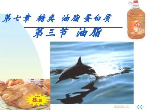 【化学课件】油脂