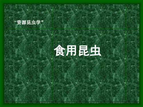 食用与饲用昆虫