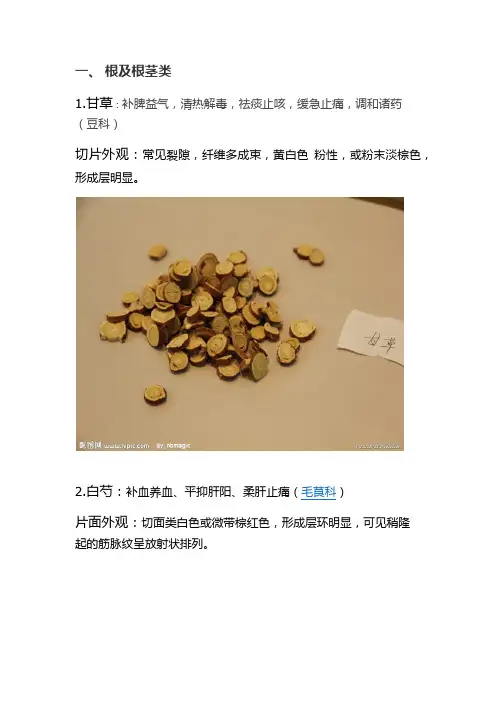 中药饮片及名称