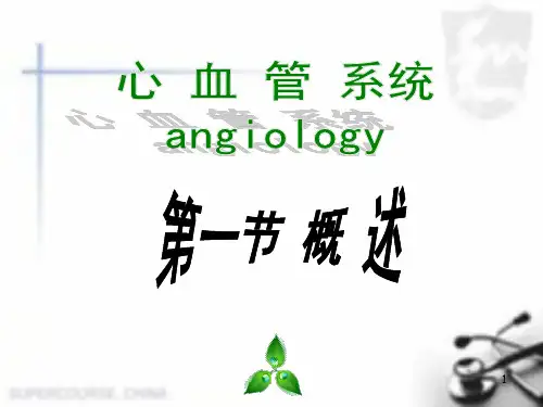 心脏解剖及心血管循环医学PPT课件