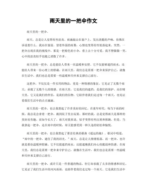 雨天里的一把伞作文