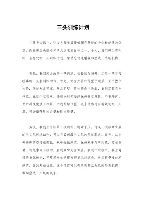 三头训练计划