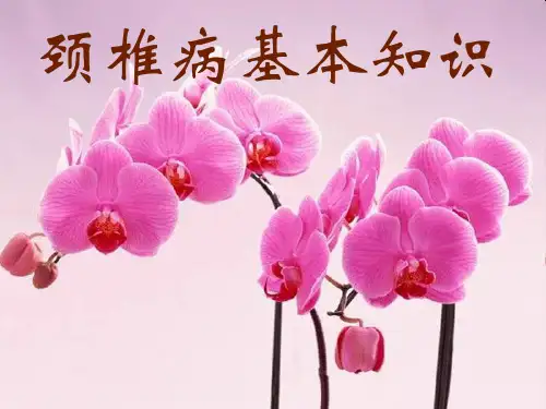 颈椎病基本知识