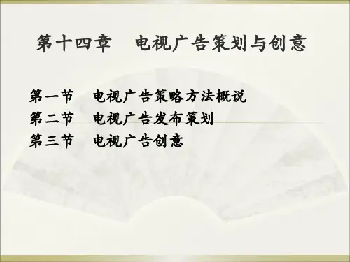 电视广告策划与创意