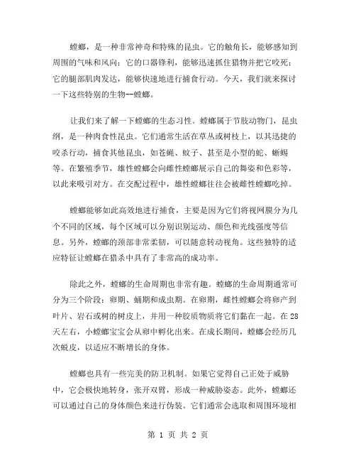 螳螂的初中作文范文