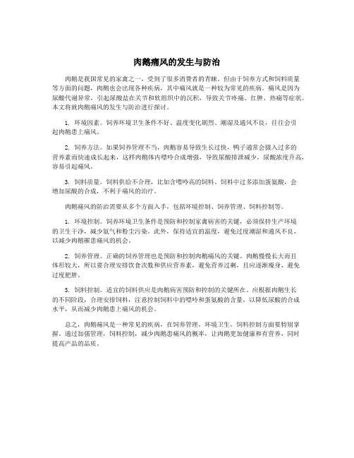 肉鹅痛风的发生与防治