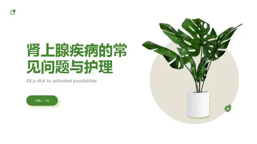肾上腺疾病的常见问题与护理