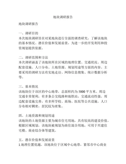 地块调研报告