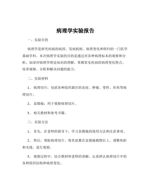 病理学实验报告