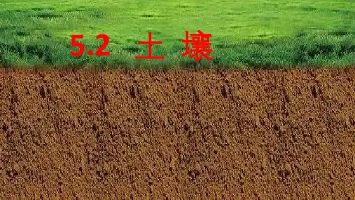 人教版新课标2019高中地理必修一5.2土壤课件共29张ppt