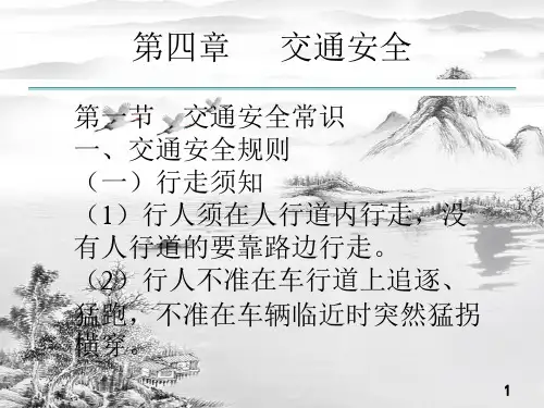 第四章交通安全ppt课件(全)