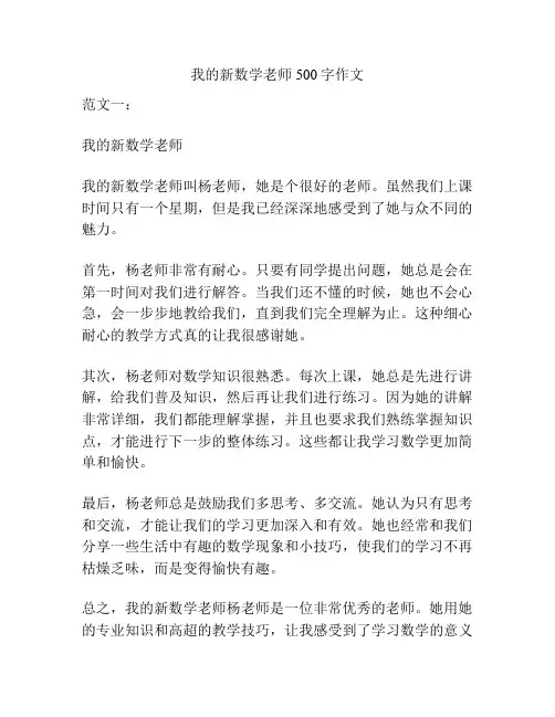 我的新数学老师500字作文