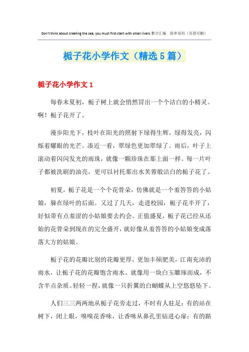 栀子花小学作文(精选5篇)