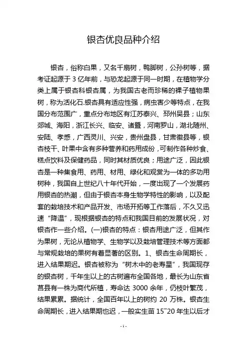 银杏优良品种介绍
