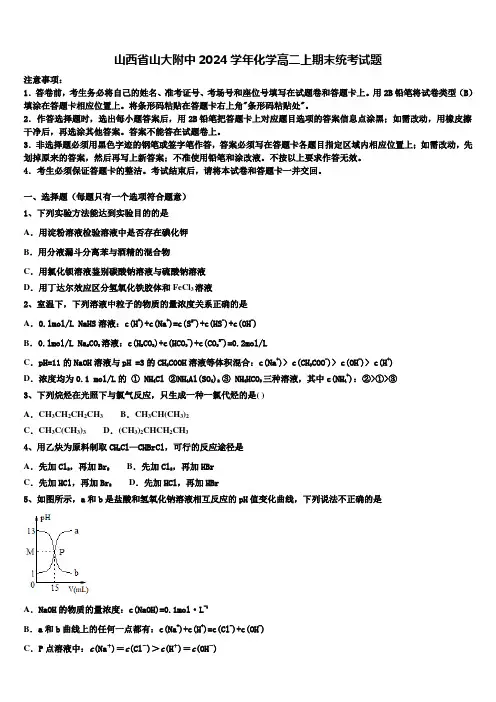 山西省山大附中2024学年化学高二上期末统考试题含解析
