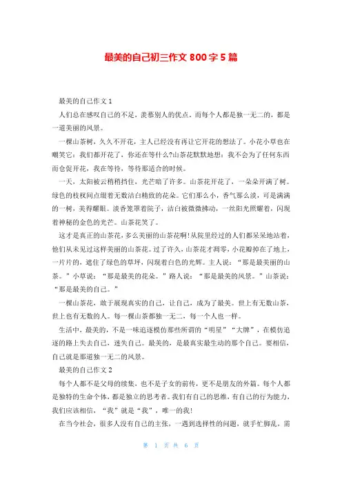 最美的自己初三作文800字5篇