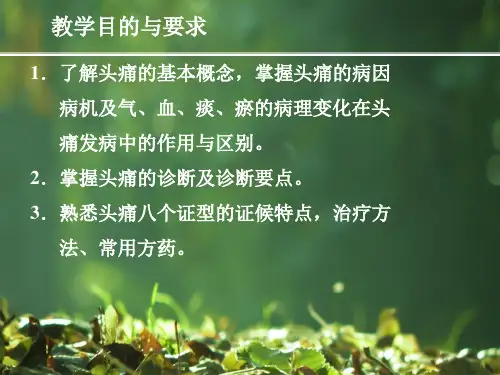 中医头痛ppt课件
