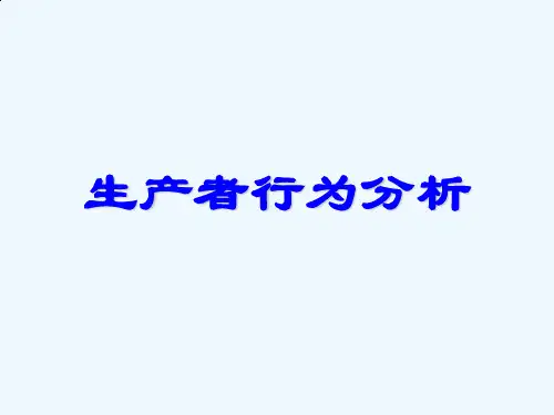 生产理论—生产函数分析P