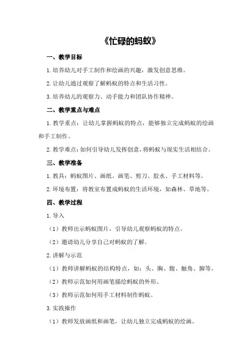 2024年幼儿园大班美术优秀教案《忙碌的蚂蚁》含反思
