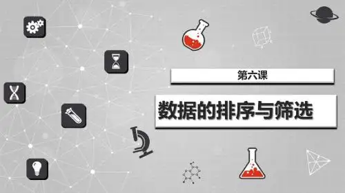 数据的排序与筛选