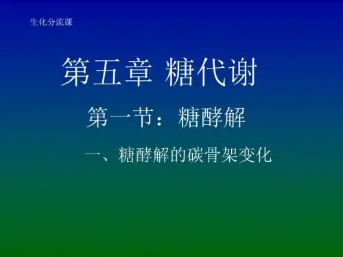 生化专题-第5章糖代谢