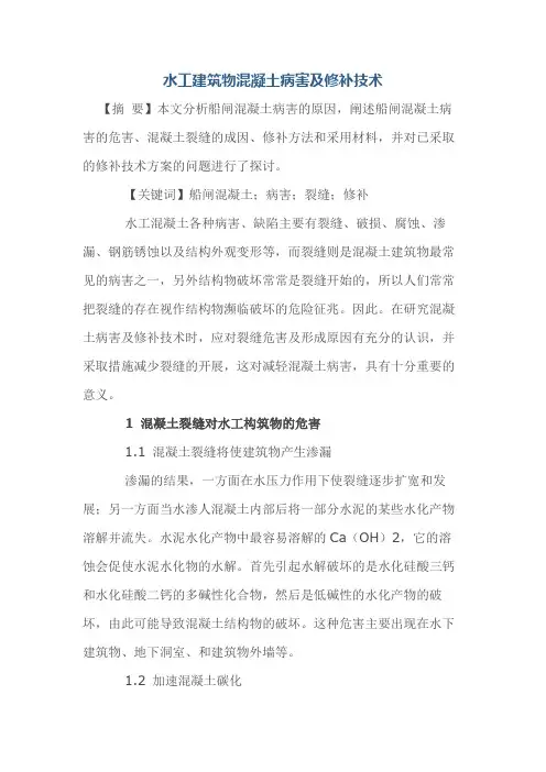 水工建筑物混凝土病害及修补技术