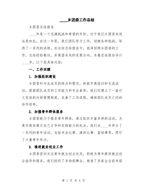 2024乡团委工作总结