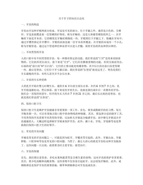 关于牙子的知识点总结