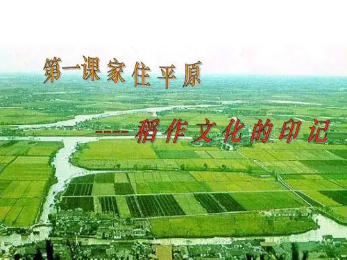 家住平原---- 稻 作 文 化 的 印 记