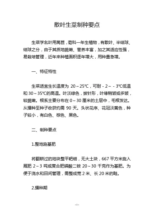 散叶生菜制种要点