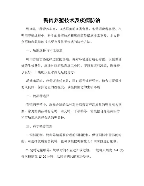 鸭肉养殖技术及疾病防治