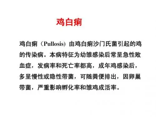 鸡白痢