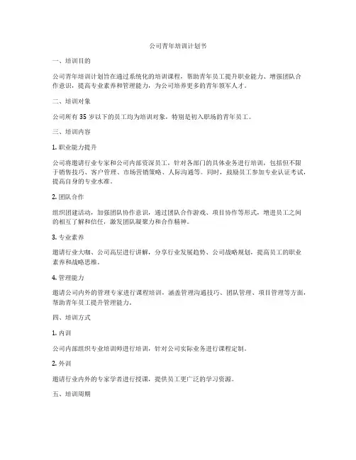 公司青年培训计划书