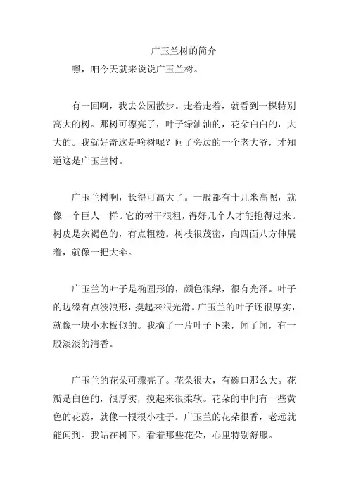广玉兰树的简介