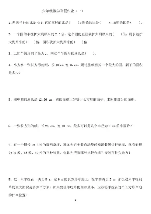 六年级数学寒假作业