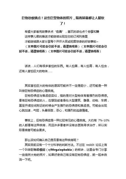 巨物恐惧慎点！这些巨型物体的照片，隔着屏幕都让人腿软了！