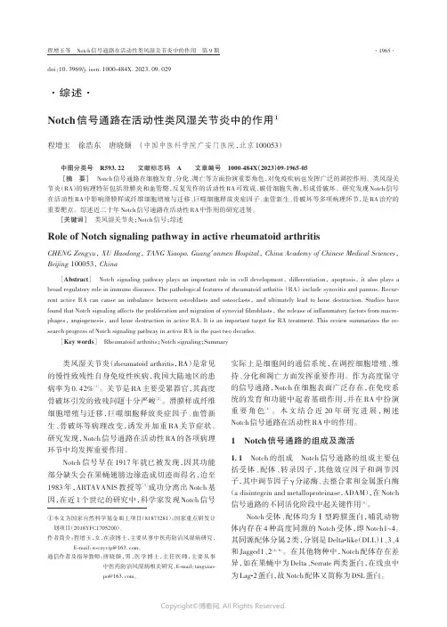 Notch信号通路在活动性类风湿关节炎中的作用