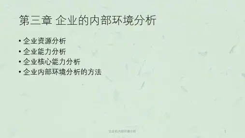 企业的内部环境分析课件