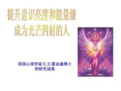 了解自己的能量级