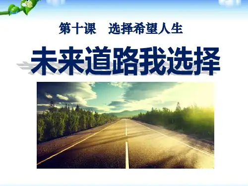 九年级上册人教版政治(思想品德)课件未来道路我选择