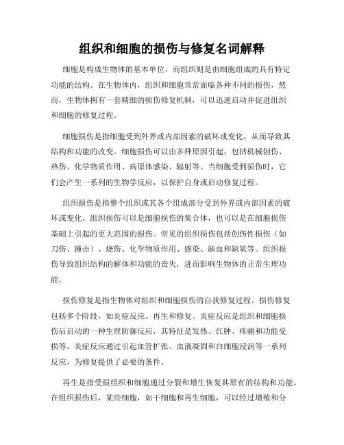 组织和细胞的损伤与修复名词解释