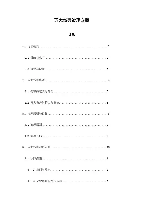五大伤害治理方案