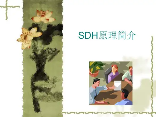SDH培训内部资料(详尽100