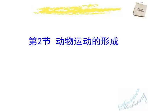 动物运动的形成-PPT课件详解