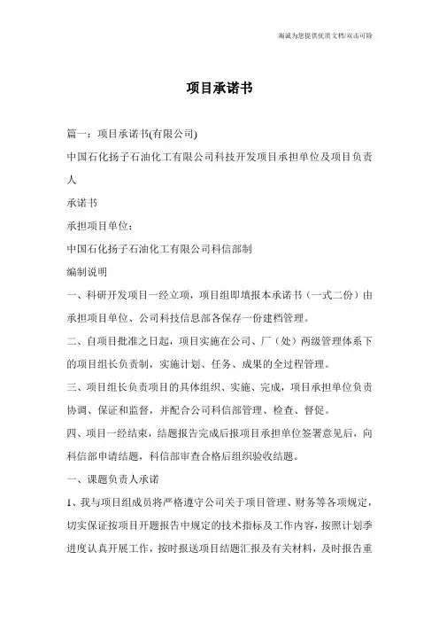 项目承诺书