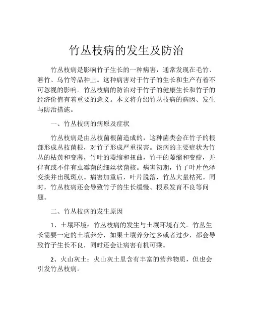 竹丛枝病的发生及防治
